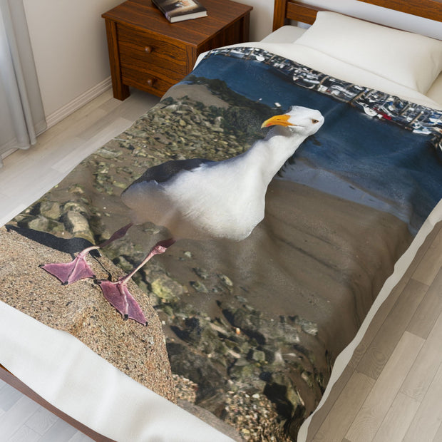 Velveteen Plush Blanket