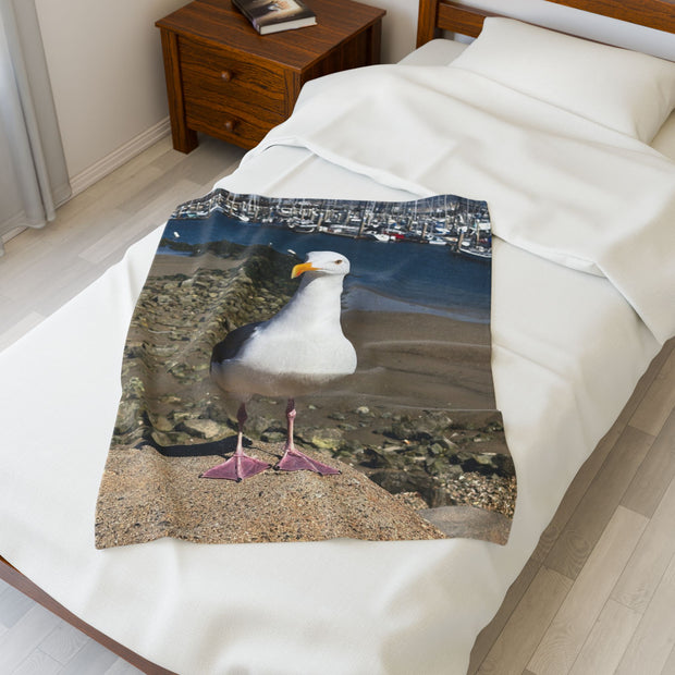 Velveteen Plush Blanket