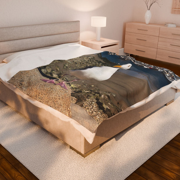 Velveteen Plush Blanket