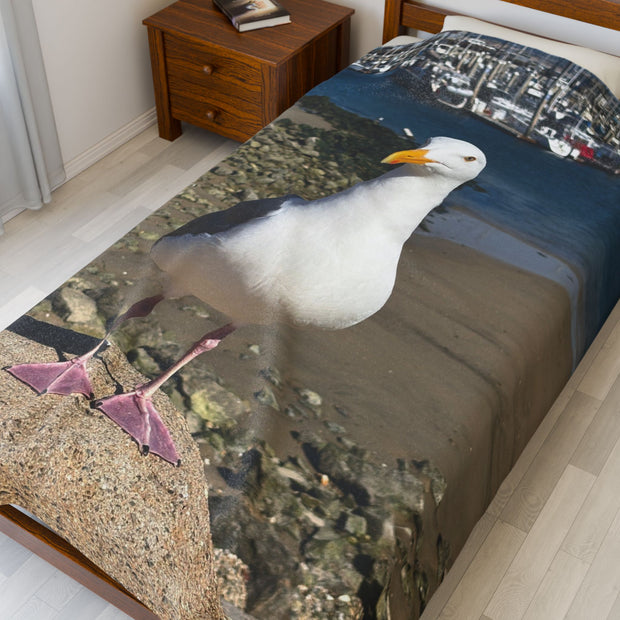 Velveteen Plush Blanket